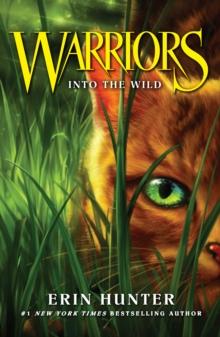 INTO THE WILD : 1