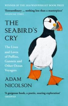 SEABIRD’S CRY