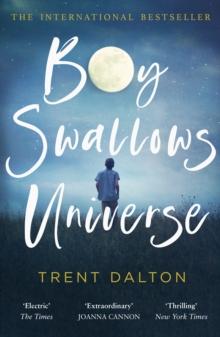 BOY SWALLOWS UNIVERSE