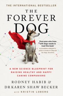 FOREVER DOG