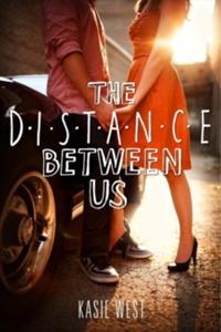 THE DISTANCE BETWEEN US