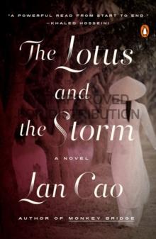 LOTUS AND THE STORM