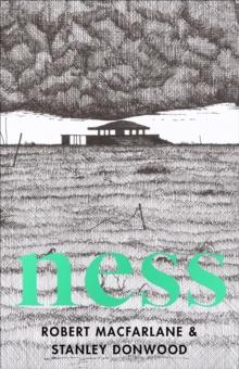NESS