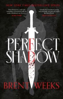 PERFECT SHADOW