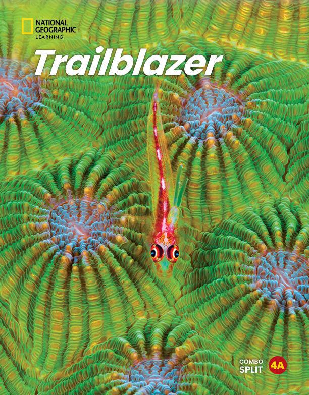TRAILBLAZER 4 (  PLUS  SPARK) COMBO SPLIT A