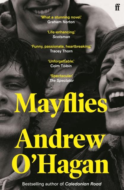 MAYFLIES