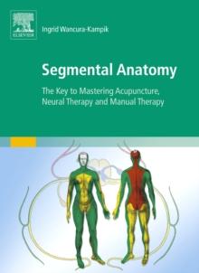 SEGMENTAL ANATOMY