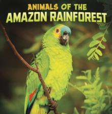 ANIMALS OF THE AMAZON RAINFOREST