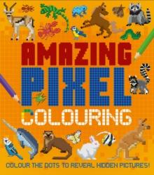 AMAZING PIXEL COLOURING