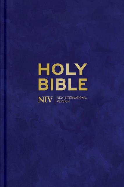 NIV LARGER PRINT PERSONAL VELVET BIBLE