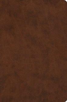 ESV VALUE COMPACT BIBLE