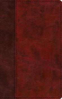 ESV LARGE PRINT THINLINE BIBLE