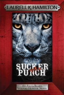 SUCKER PUNCH
