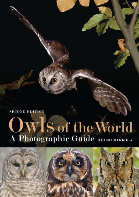 OWLS OF THE WORLD - A PHOTOGRAPHIC GUIDE
