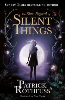THE KINGKILLER CHRONICLE (2.5): THE SLOW REGARD OF SILENT THINGS