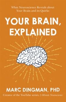 YOUR BRAIN, EXPLAINED