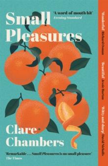 SMALL PLEASURES : LONGLISTED FOR THE WOMEN'S PRIZE FOR FICTION 2021