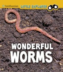 WONDERFUL WORMS