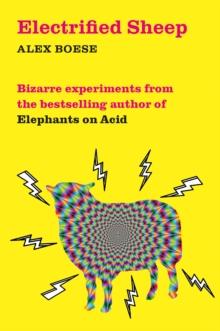 ELECTRIFIED SHEEP