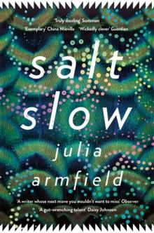 SALT SLOW