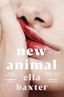 NEW ANIMAL