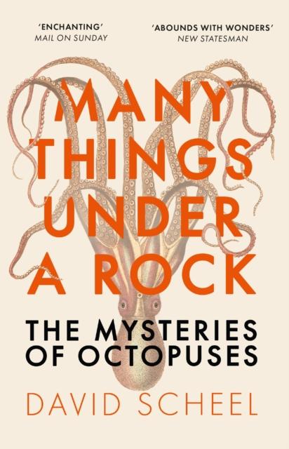 MANY THINGS UNDER A ROCK