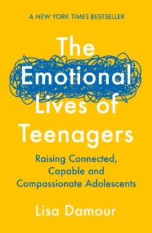 EMOTIONAL LIVES OF TEENAGERS