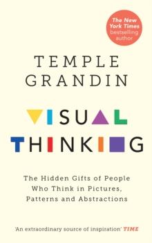 VISUAL THINKING