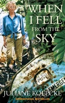 WHEN I FELL FROM THE SKY