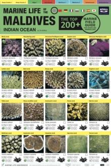 MALDIVES MARINE LIFE FIELD GUIDE