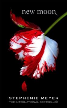 THE TWILIGHT (02): NEW MOON