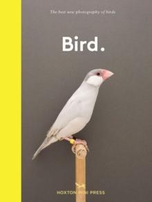 BIRD.
