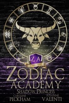 ZODIAC ACADEMY 4 : SHADOW PRINCESS