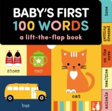 BABY'S FIRST 100 WORDS
