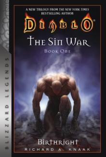 DIABLO: THE SIN WAR BOOK ONE: BIRTHRIGHT