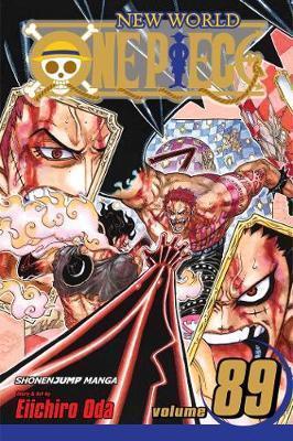 ONE PIECE: VOL 89