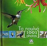 1001 PHOTOS, ΤΑ ΠΟΥΛΙΑ