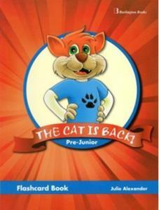 THE CAT IS BACK! PRE-JUNIOR FLASHCARD BOOK