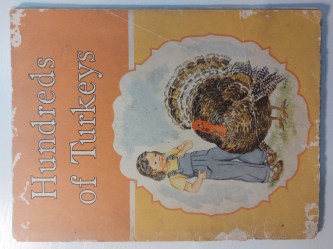 HUNDREDS OF TURKEY