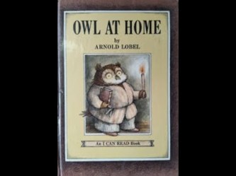 OWL AT HOME